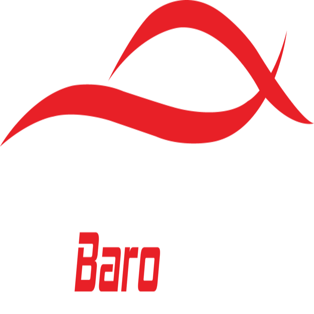 Barocars logo